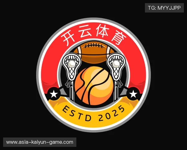 关于开云电竞官网入口